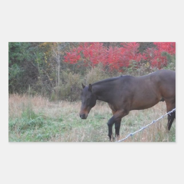 Brown horse in the red autumn trees sticker (Front)