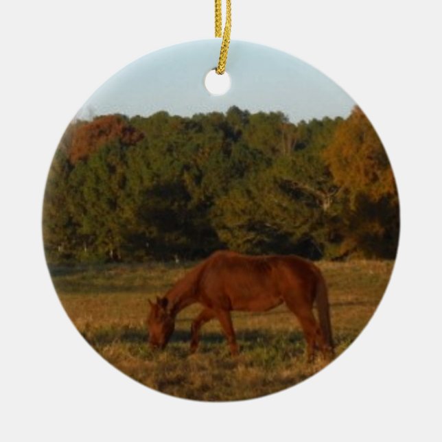 Brown horse in  the Sun Ceramic Ornament (Front)