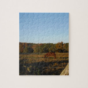 Brown horse in  the Sun Jigsaw Puzzle