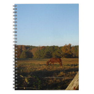 Brown horse in  the Sun Notebook