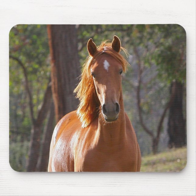 Brown Horse in the Sunlight Mouse Pad (Front)