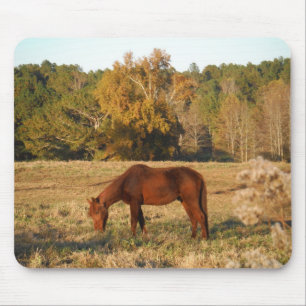 Brown horse in  yellow tree field mouse pad