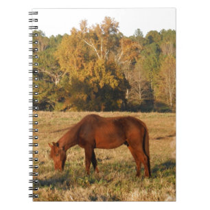 Brown horse in  yellow tree field notebook