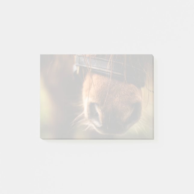 Brown Horse Nose Photo Cute and Rustic Post-it Notes (Front)