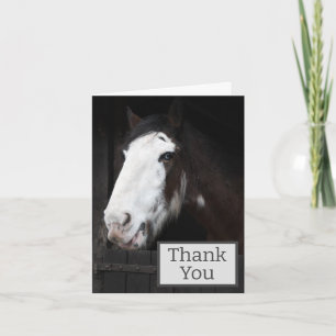 Brown Horse on Farm Happy Folded Thank You Card
