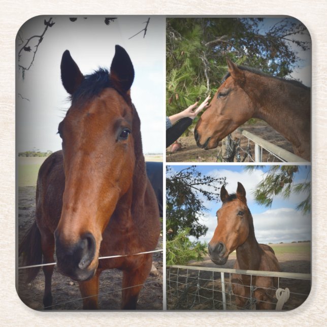 Brown Horse Photo Collage, Sturdy Paper Coasters (Front)