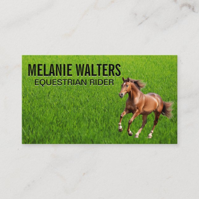 Brown Horse Running  Business Card (Front)
