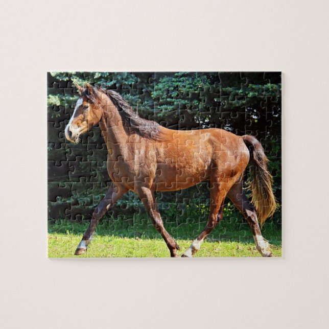 Brown Horse Running Jigsaw Puzzle (Horizontal)