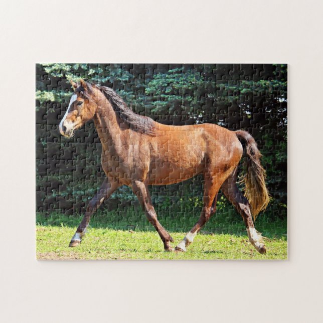 Brown Horse Running Jigsaw Puzzle (Horizontal)