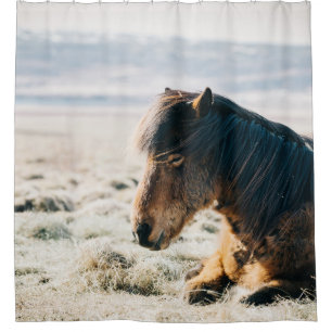 BROWN HORSE SITTING ON GRASS NEAR BEACH