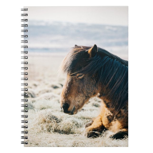 BROWN HORSE SITTING ON GRASS NEAR BEACH NOTEBOOK (Front)