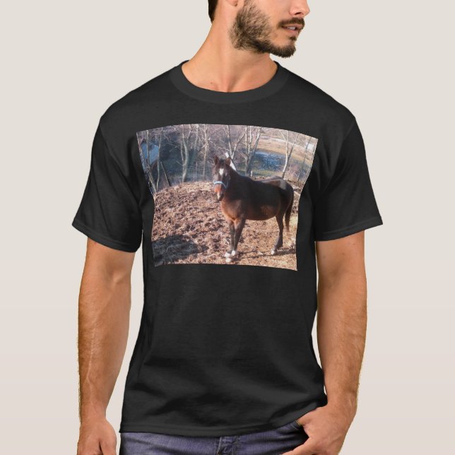 Brown Horse T-Shirt (Front)