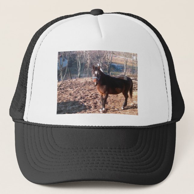 Brown Horse Trucker Hat (Front)