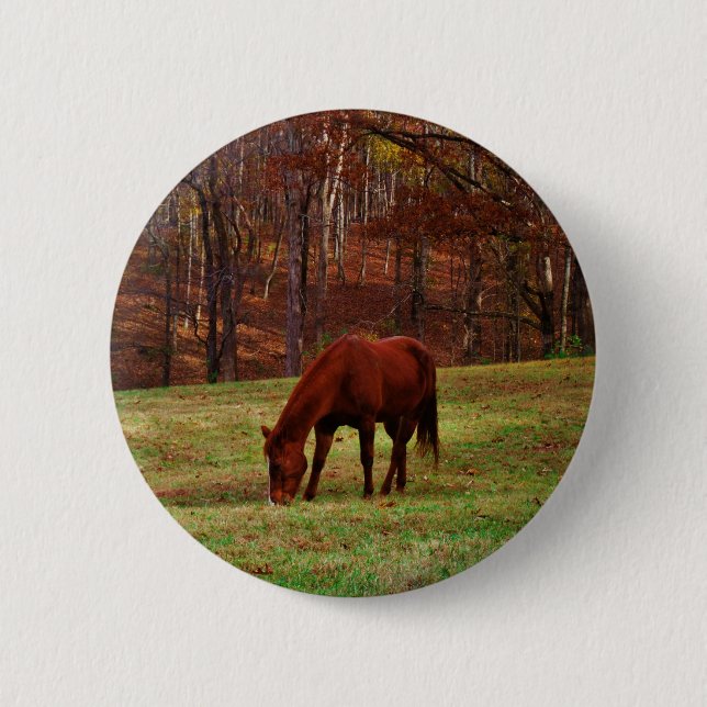 Brown Horse w/ White Nose at Woods Edge 2 Inch Round Button (Front)