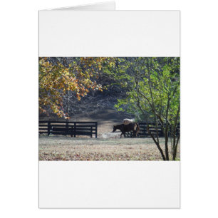 Brown Horse walking through Fence