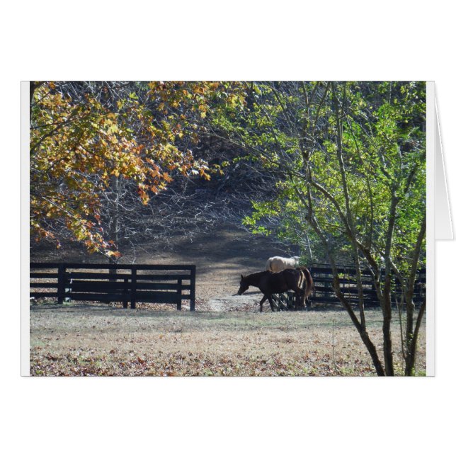 Brown Horse walking through Fence (Front Horizontal)