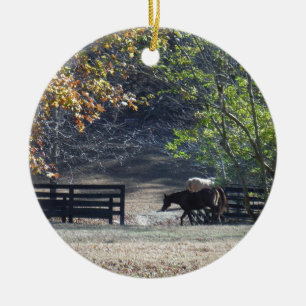 Brown Horse walking through Fence Ceramic Ornament