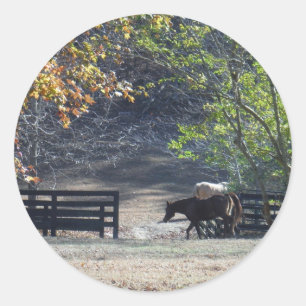 Brown Horse walking through Fence Classic Round Sticker