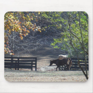 Brown Horse walking through Fence Mouse Pad
