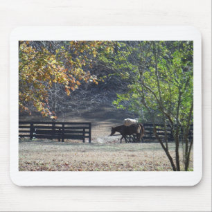 Brown Horse walking through Fence Mouse Pad