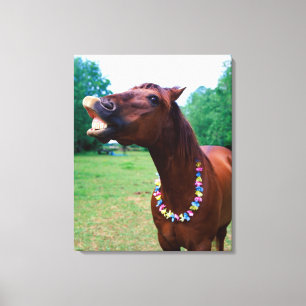 Brown horse wearing necklace, baring teeth, canvas print