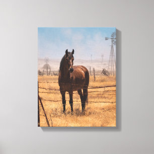 Brown Horse Windmill Field Blue Sky Art Canvas Print