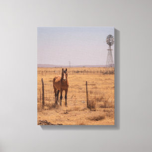 Brown Horse Windmill Pasture Sunset Art Canvas Print
