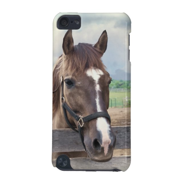 Brown Horse with Bridle Customizable iPod Touch (5th Generation) Case (Back)