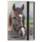 Brown Horse with Bridle Powis  iPad Mini Case
