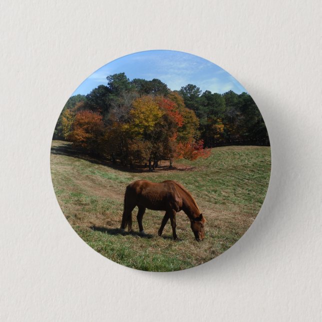 Brown horse with fall trees 2 inch round button (Front)