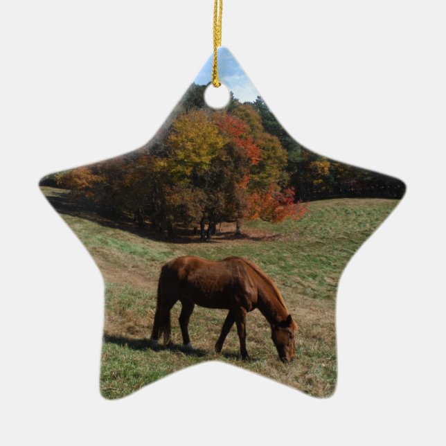 Brown horse with fall trees ceramic ornament (Front)