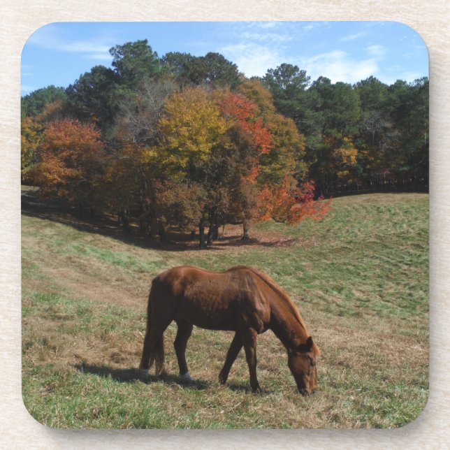 Brown horse with fall trees coaster (Front)