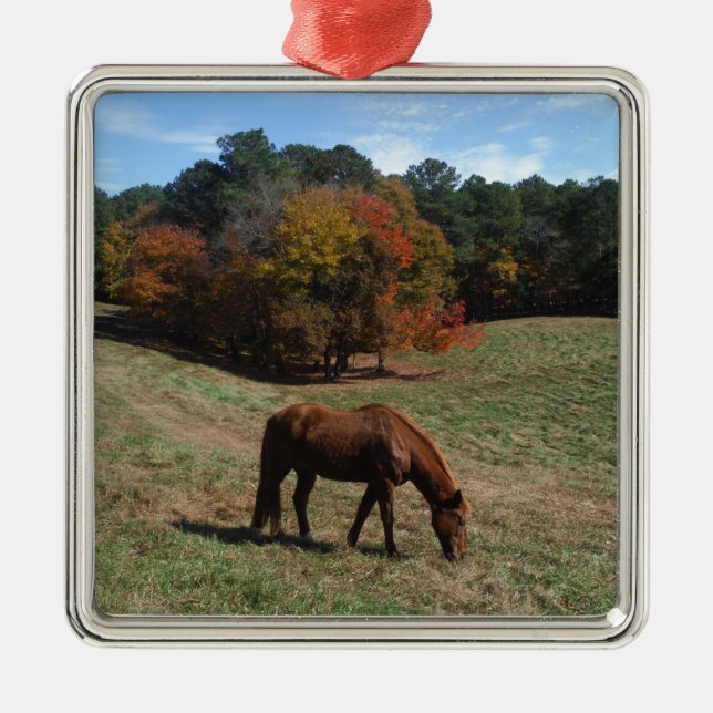 Brown horse with fall trees metal ornament (Front)
