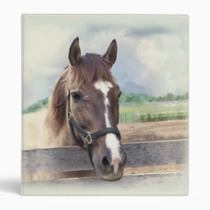 Brown Horse with Halter Binder