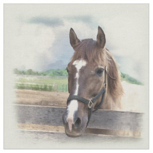 Brown Horse with Halter Fabric