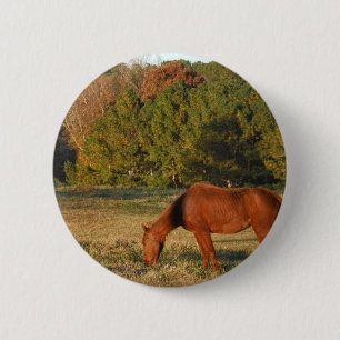 Brown Horse with Pine Trees 2 Inch Round Button