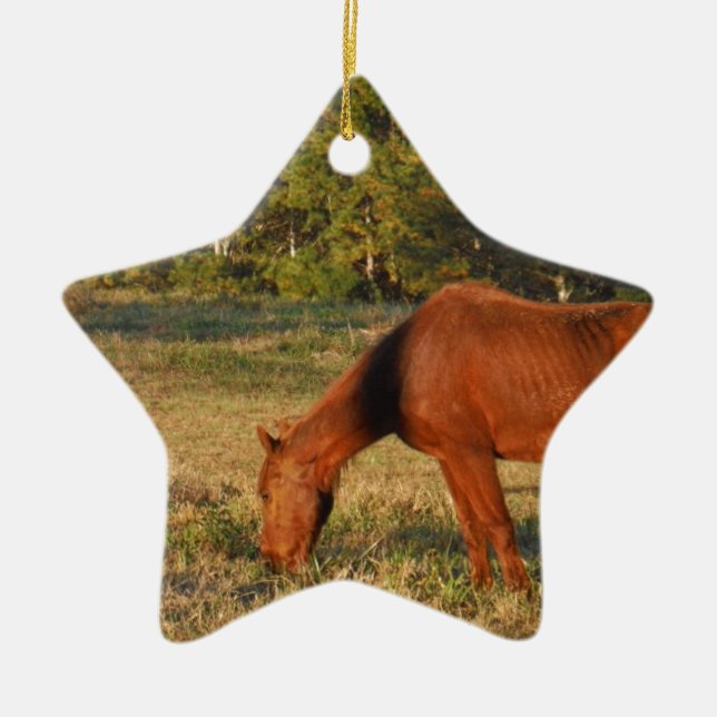 Brown Horse with Pine Trees Ceramic Ornament (Front)
