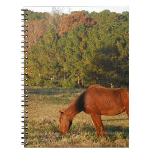 Brown Horse with Pine Trees Notebook