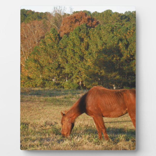 Brown Horse with Pine Trees Plaque (Front)