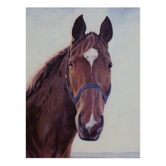 Brown Horse with White Patch Postcard