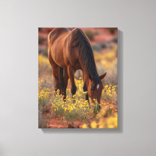 Brown Horse Yellow Wildflower Desert Art Canvas Print
