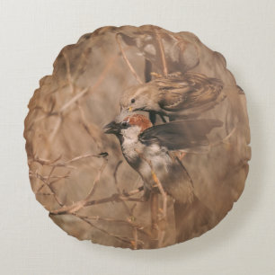 Brown House Sparrow Birds Nature Photography Round Pillow