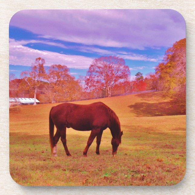> Brown in a dreamy colored field Coaster (Front)