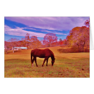 > Brown in a dreamy coloured field