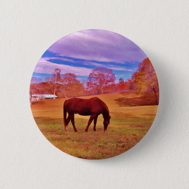 > Brown in a dreamy coloured field 2 Inch Round Button (Front)