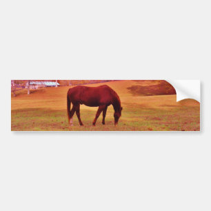 > Brown in a dreamy coloured field Bumper Sticker