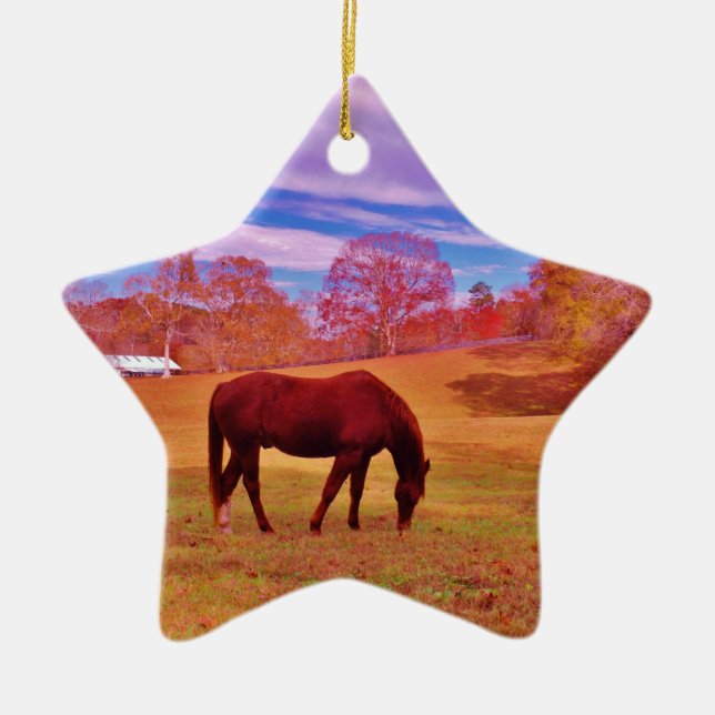 > Brown in a dreamy coloured field Ceramic Ornament (Front)