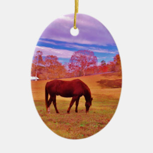 > Brown in a dreamy coloured field Ceramic Ornament
