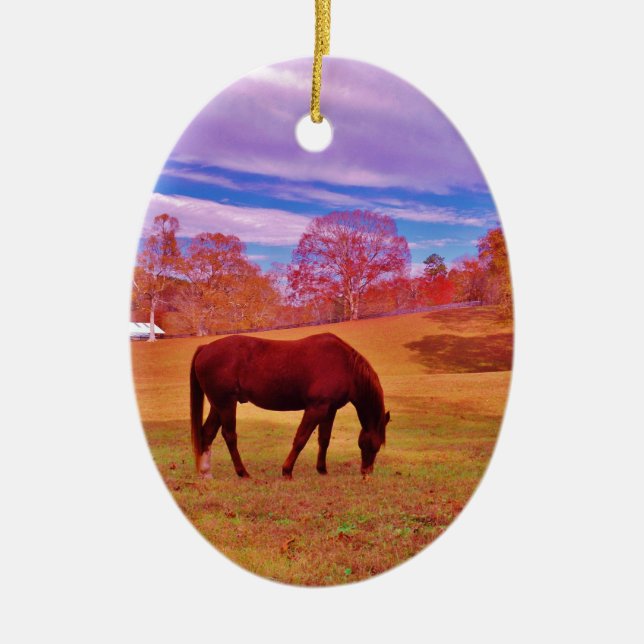 > Brown in a dreamy coloured field Ceramic Ornament (Front)
