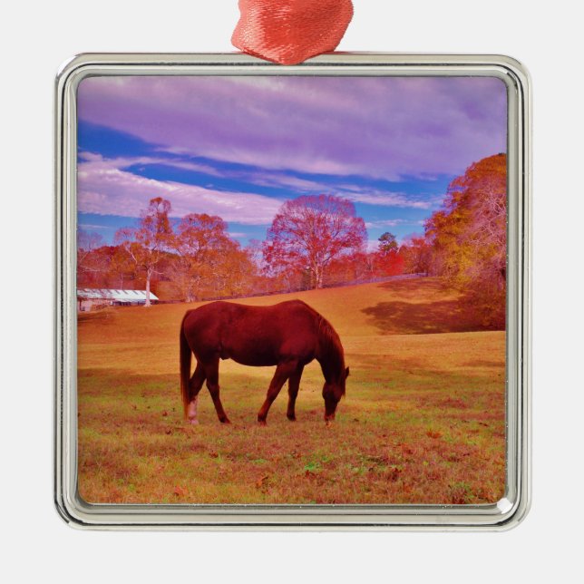 > Brown in a dreamy coloured field Metal Ornament (Front)
